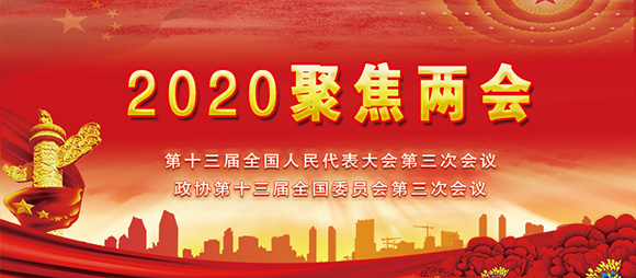 新文藝書畫品質(zhì)典范人物——趙珂獻禮全國兩會